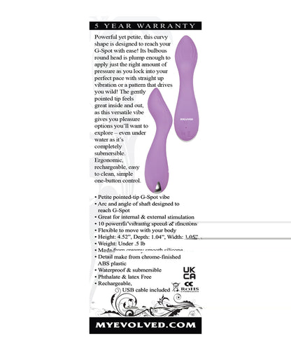 Evolved Lilac G Petite G Spot Vibe - Purple