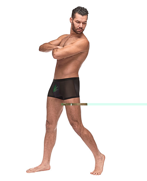 Private Screening Micro Mesh & Modal Pot Leaf Black SM