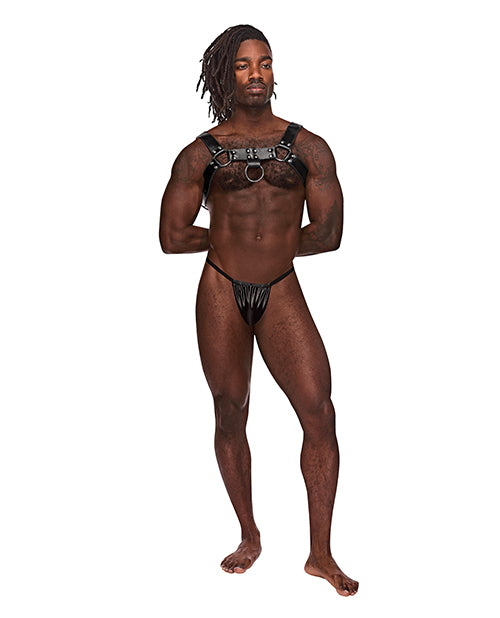 Leather Aries Single Ring Harness Black O/S