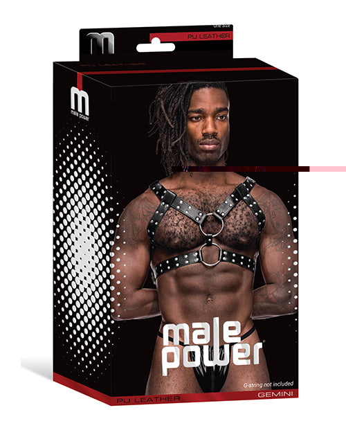 Leather Gemini Double Ring Harness Black O/S