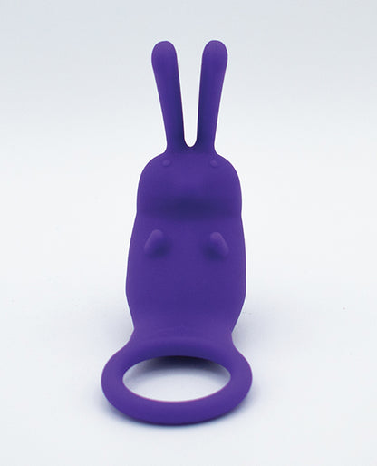 Natalie's Toy Box The Cock Hopper Cock Ring & Bullet Vibrator - Purple