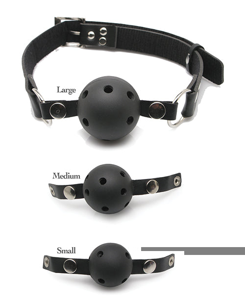 Fetish Fantasy Series Ball Gag Training Kit