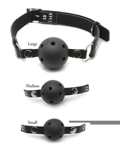 Fetish Fantasy Series Ball Gag Training Kit