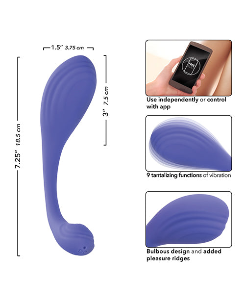 Connect App Based Kegel Exerciser