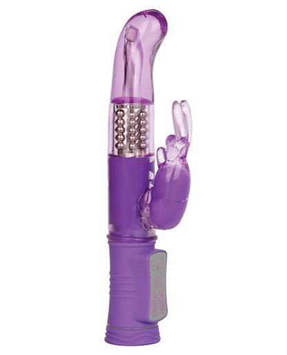 Shane's World Jack Rabbit G - Purple