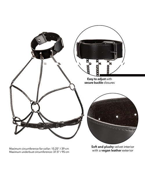 Euphoria Collection Plus Size Multi Chain Collar Harness